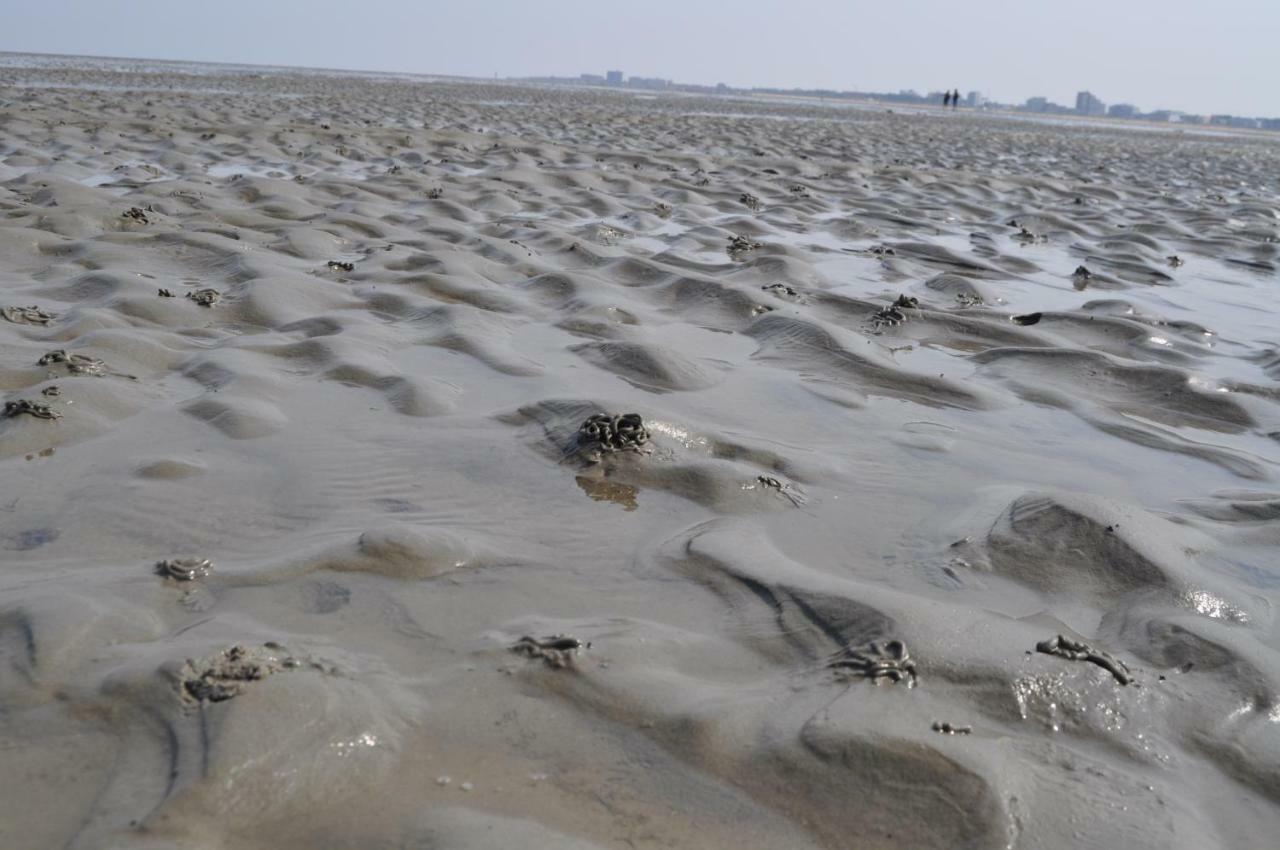 Ferienhaus Exner Hinter Dem Deich Cuxhaven Eksteriør bilde